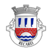 recarei resized